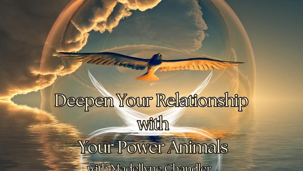 Power animal relationship